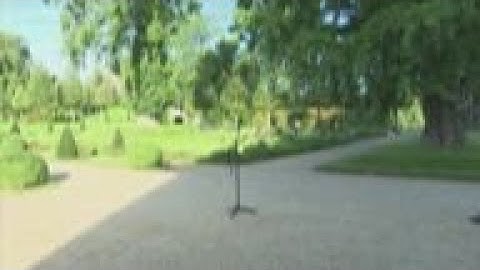 Scholz pays tribute to 