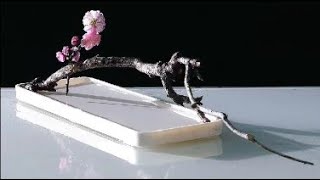 插花藝術  跟倪誌翔老師學插花 2   Ni Zhixiang  ikebana