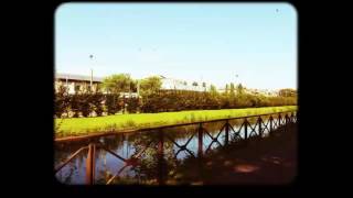 Lungo il naviglio in bici