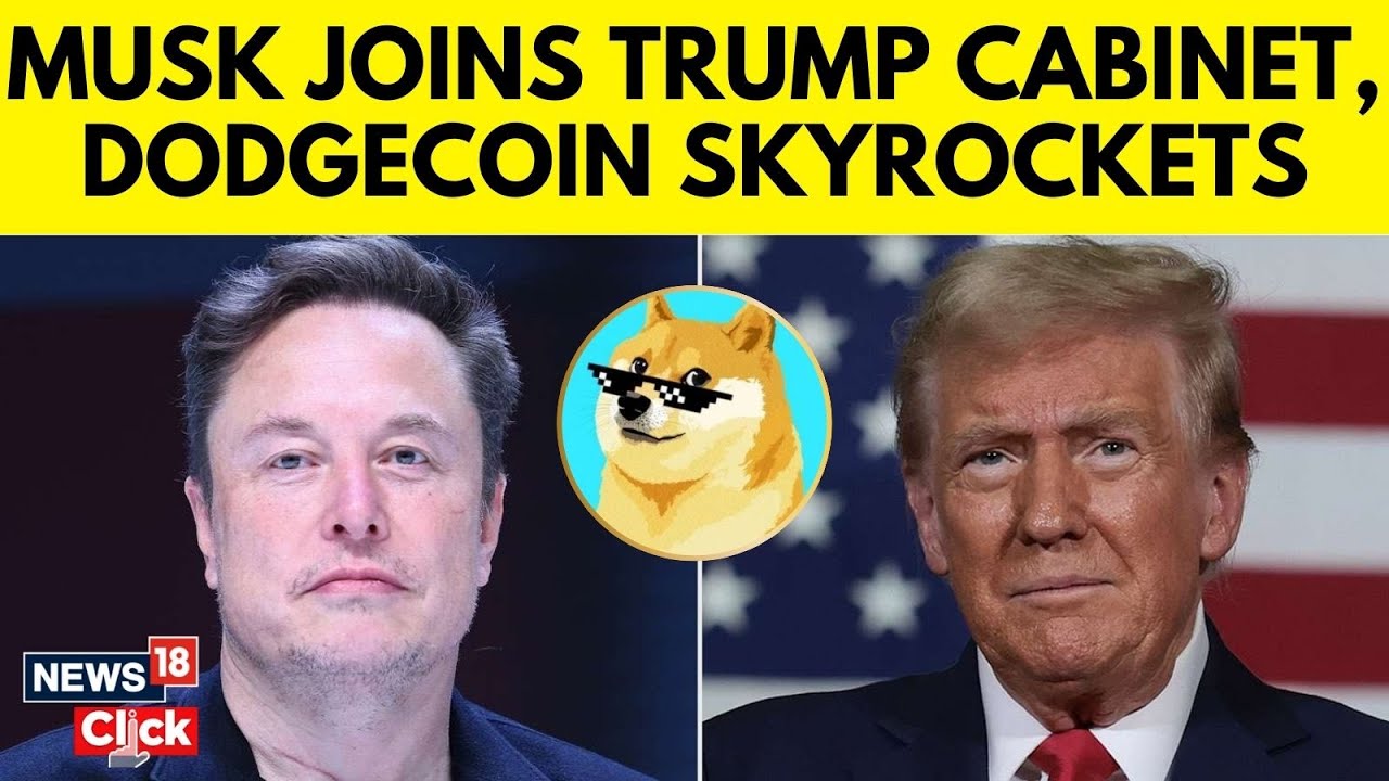 Dogecoin trump (69) foto