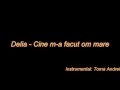 Delia - Cine m-a facut om mare (Karaoke)