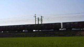 貨物列車　５０９１レ　ＥＦ８１