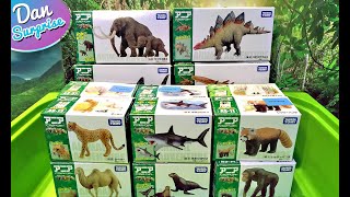 Takara Tomy Dinosaurs and Animals Collection