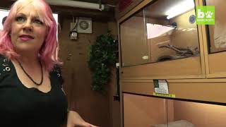 Reptile Lovers Live With 80 Snakes: BEAST BUDDIES