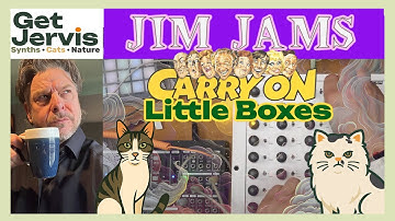 Jamming in Jimjams: DAWLess Jamming with ANALOGUE BEASTS #cat #synth #dawless