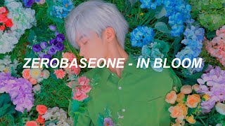 ZEROBASEONE (제로베이스원) 'In Bloom' Easy Lyrics