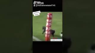 Ronaldonun Kedisi Belli