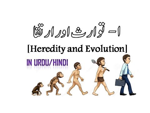 Heredity and Evaluation| توارث اور ارتقا | Science 2 Class 10th in URDU/HINDI