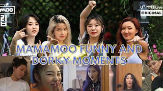 MAMAMOO FUNNY AND DORKY MOMENTS