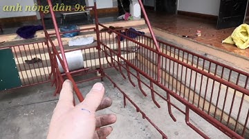 Thiết kế chuồng heo nái đẻ, heo nái hậu bị, siêu tiện ích, chi phí rẻ