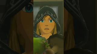 BOTW with no context whatsoever