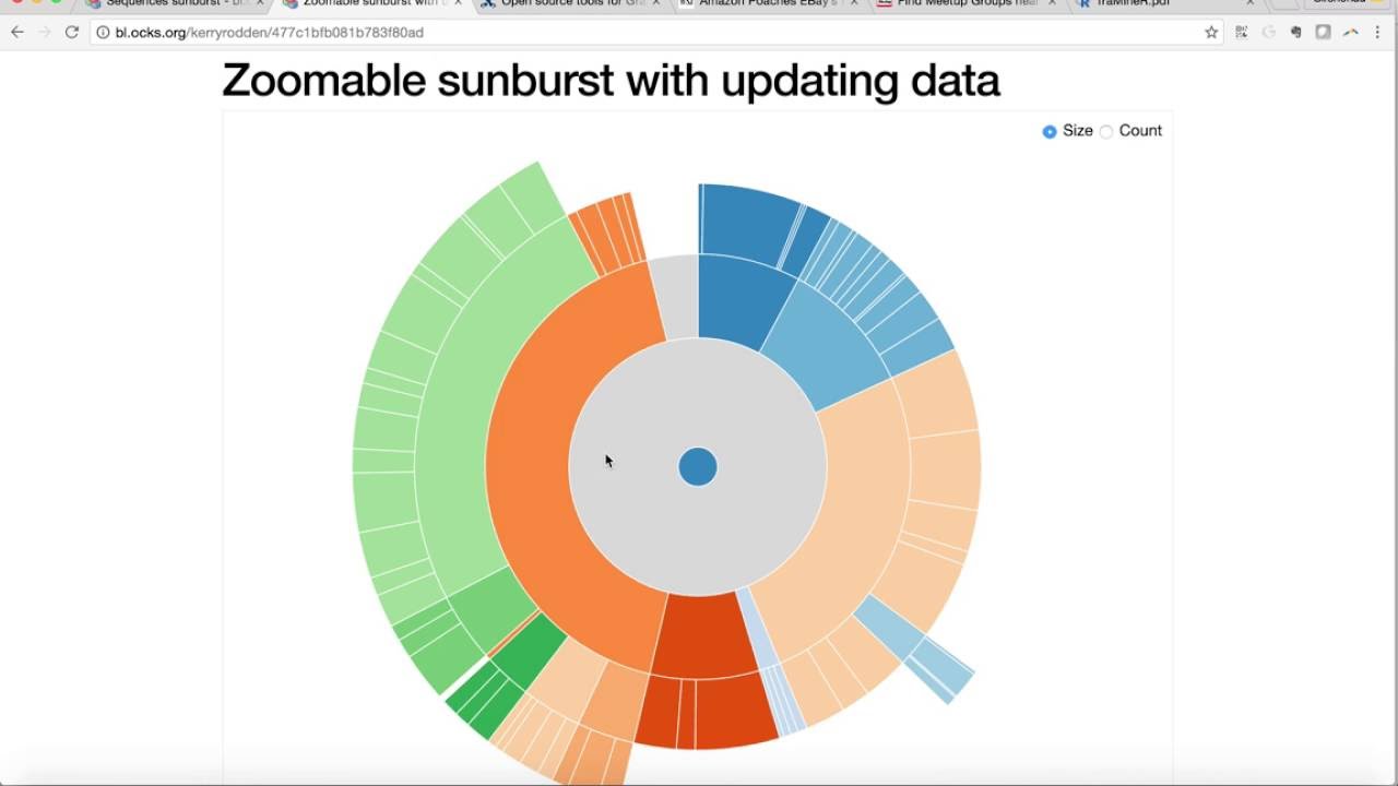 Sunburst Chart D3