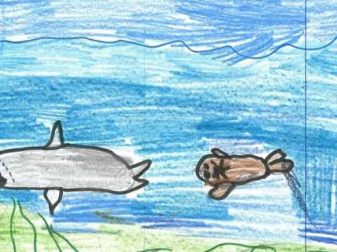 ვიდეო: აქვთ თუ არა ზვიგენებს დაწყვილებული ფარფლები?
