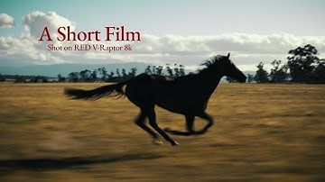 Burden of Dreams | RED V-Raptor 8k