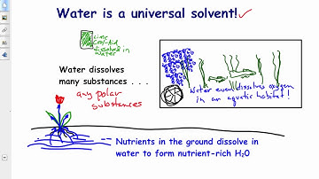V. 63  Water Dissolves Almost Everything