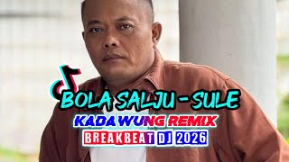 DJ BOLA SALJU - SULE || DJ BREAKBEAT 2027
