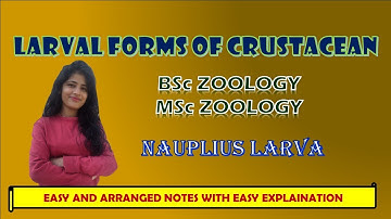 LARVAL FORMS OF CRUSTACEANS(NAUPLIUS) BSC MSC ZOOLOGY BIOLOGYWITHJAGRITI  EASY AND ARRANGED NOTES