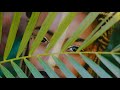 Miniature de la vidéo de la chanson Je Pense À Toi (J.pool Edit)