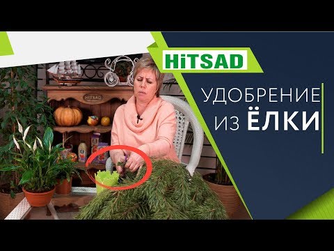 Вопрос: Можно ли добавлять еловые шишки в картофельную лунку?