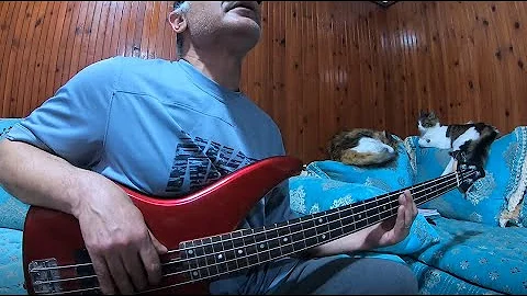 I'll Cry Instead « The Beatles » (Bass Cover & Vocal Imitation)