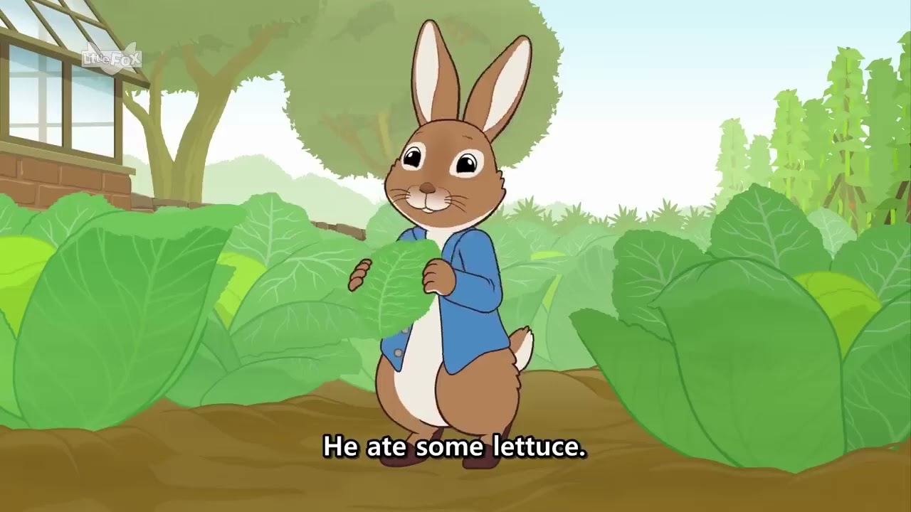 Peter Rabbit -1. - YouTube
