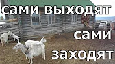 Ясная Усадьба