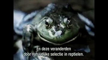 Onstaan aarde en eerste leven