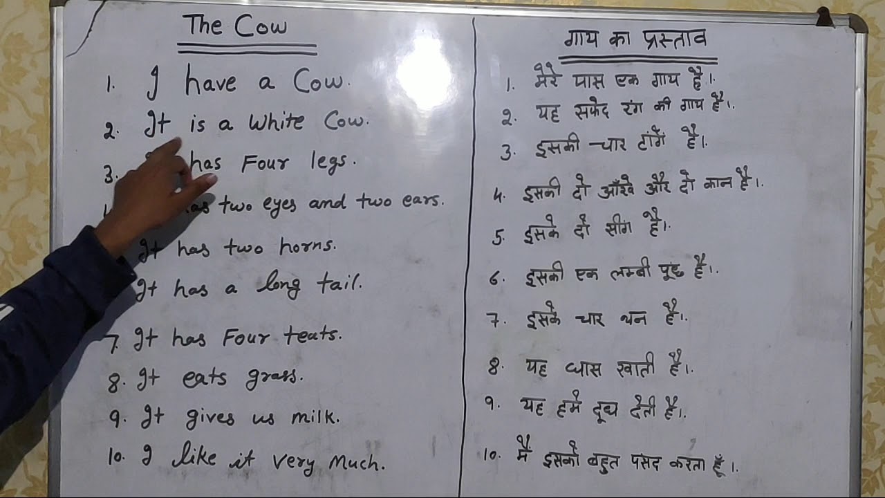 Domesticated animals lyrics meaning