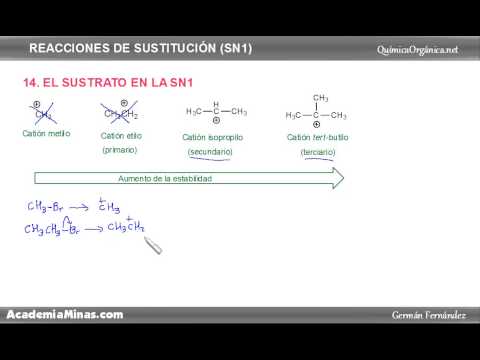 Video: ¿Cuál es el sustrato en esta reacción?
