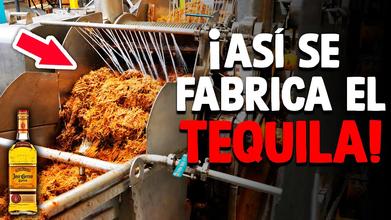 Cómo Se Fabrica El Tequila? [Proceso En Fábrica] - YouTube