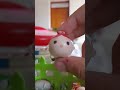 humor de tsums: jessie y su suegra #michi #gatos #gatoschistosos #catlover