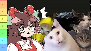 Full Cat Meme Tier list (poorly made by me) News