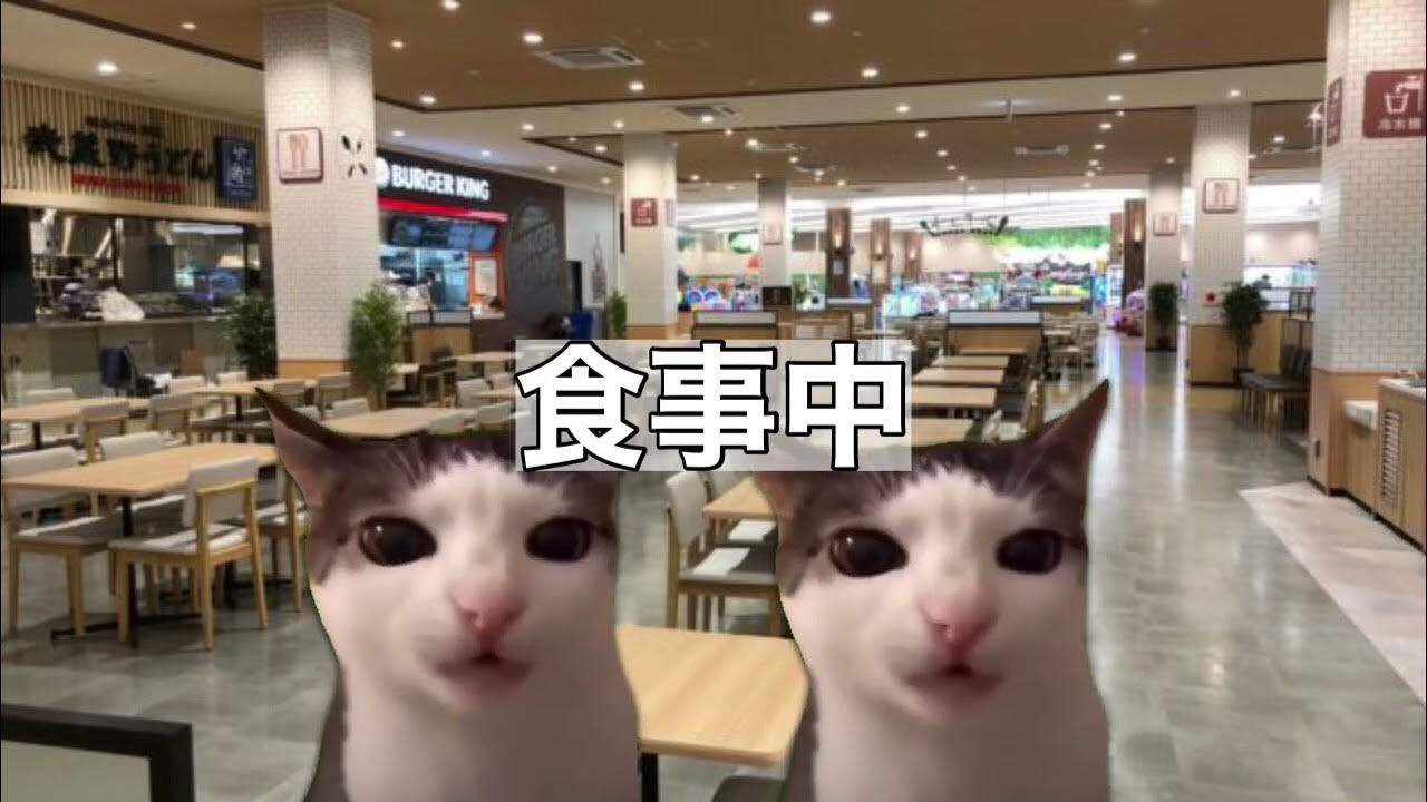 ミーム