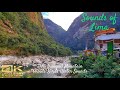 Peaceful Mountain Stream sounds-Bird songs -1 hr relaxation naturesounds for sleep, meditation,study