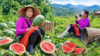 Ripe Red Watermelon Season | A Simple Meal in a Northwest Highland Village 🍉