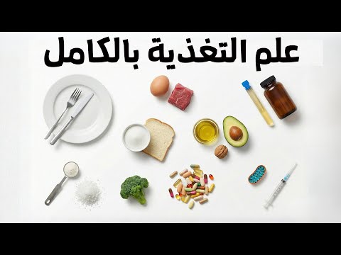 Explaining Everything Your Body Needs In 12 Minutes Without Any Nonsense 