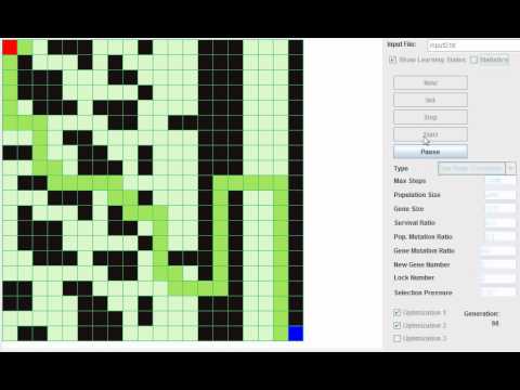 Genetic Algorithm for solving a maze - YouTube