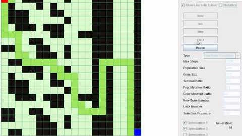 Genetic Algorithm for solving a maze