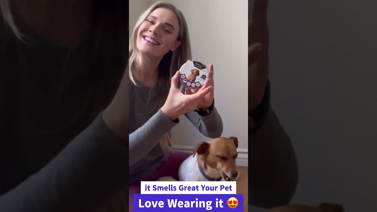 Short Ad @2 -  Flea and Tick Collar For Dogs - DEWEL PRO