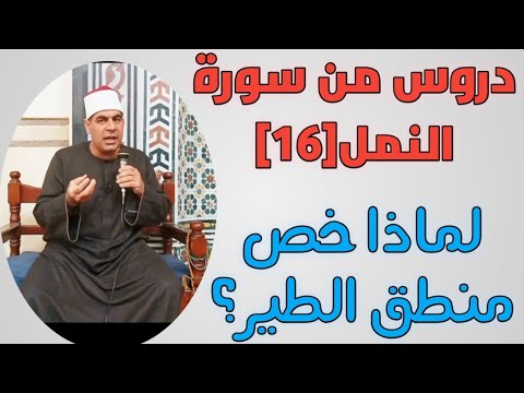 لمذا خص منطق الطير دروس من سورة النمل ١٦ 