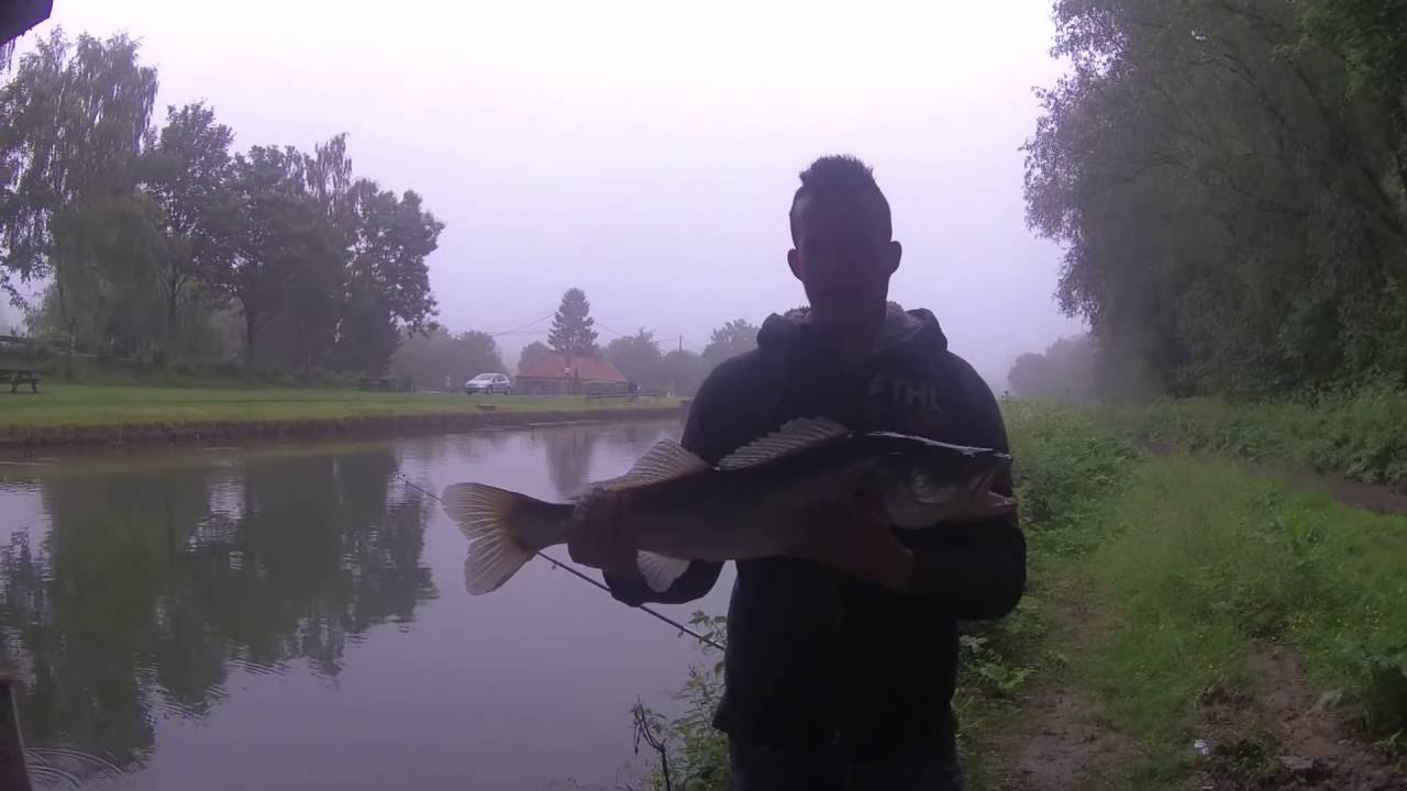 Pêche Du Sandre Au Vif Au Bouchon