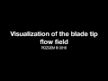 Visualization of the blade tip flow field with and without tip injection