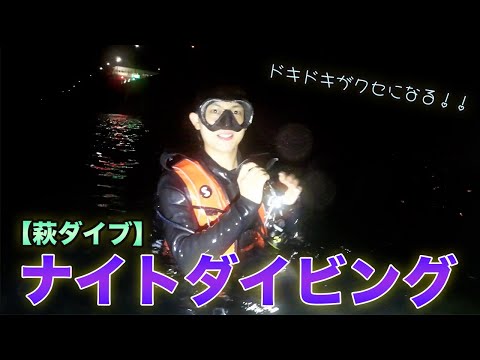 【萩ダイブ】ナイトダイビングにどハマりしています。