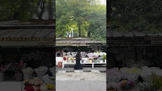 Another Episode Citra With Her Flowers