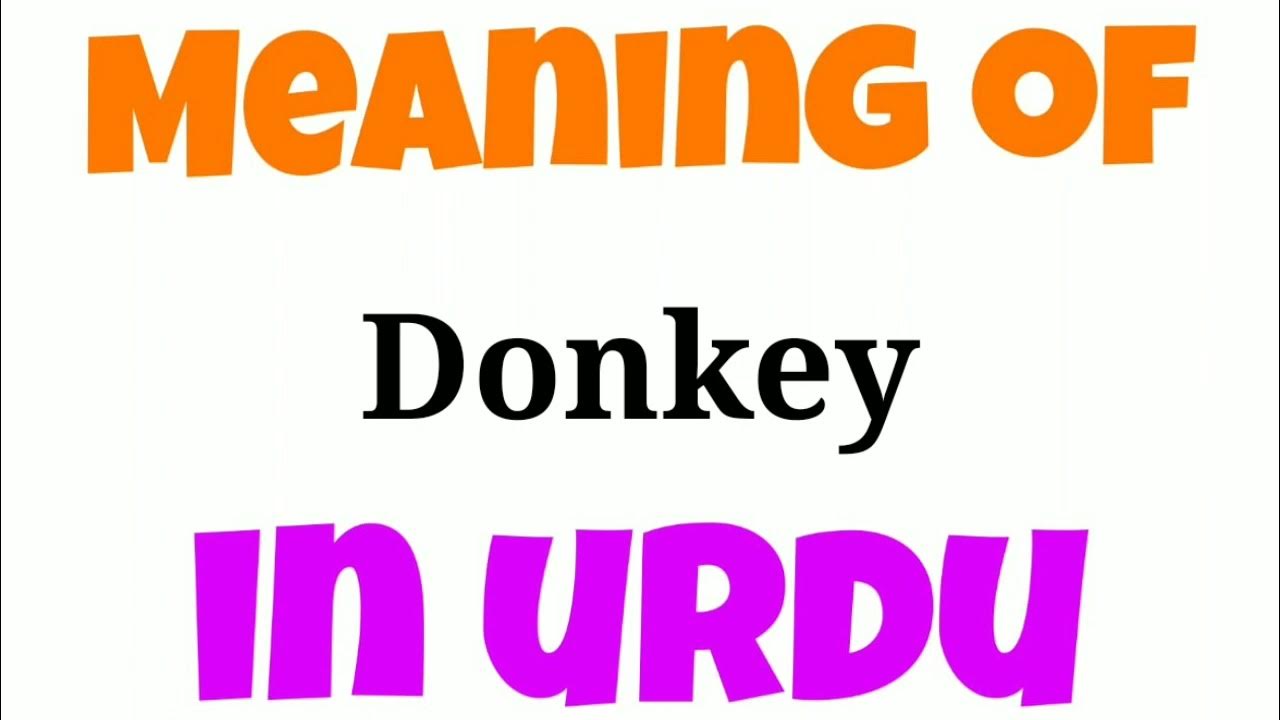 Donkey Ko Urdu Mein Kya Kahate Hai Donkey Ko Urdu Mein Kya Bolate Hai donkey-ko-urdu-mein-kya-kahate-hai-donkey-ko-urdu-mein-kya-bolate-hai