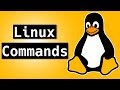10 Linux Commands for Beginners: Learn Linux Basics Fast!