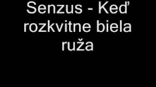 Senzus - Keď rozkvitne biela ruža chords