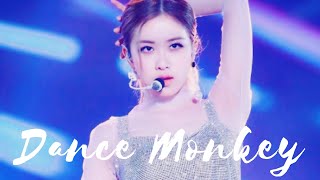 Rosè - Dance Monkey (fmv)