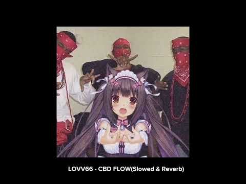 LOVV66 - CBD FLOW (Slowed & reverd)