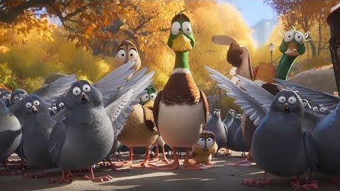 Migration Movie - Chump The Pigeon Scene HD
